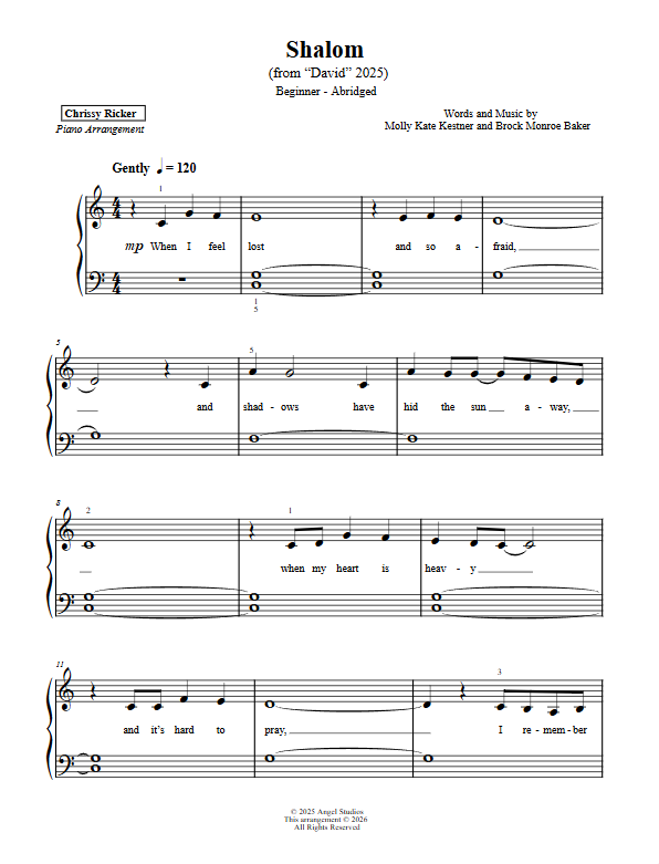 Shalom Sample Page